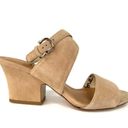 Salvatore Ferragamo  SHEENA SUEDE ANKLE STRAP GANCINI SANDALS SIZE 9 Photo 2