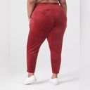 Lane Bryant NWT LIVI Active  Velour Jogger Burgundy Red Sz 30/32 Rhubarb Photo 2