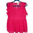 Jasmine & Ginger  Pink Ruffle Sleeve Eyelet Babydoll Blouse Photo 0