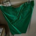 Counterparts New  Kelly Green Walking Golf shorts Photo 0