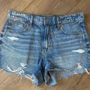 American Eagle outfitters 90s boyfriend shorts Photo 0