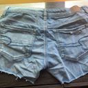 American Eagle Outfitters Shorts Photo 0