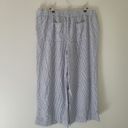 Loft  Outlet Blue and White Striped Wide Leg Crop Linen Blend Pant Photo 3