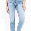 American Eagle , Curvy Mom High Rise Stretch Distressed Women's Jeans, Size 16 Photo 0