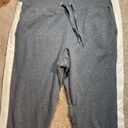 Ralph Lauren Polo  Fleece Track Sweatpants Photo 4