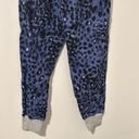 Aerie NWOT  Blue Cheetah Print Pajama Pant Joggers Size XS Photo 4