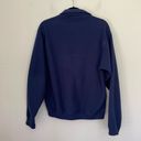 Patagonia  Synchilla Blue Full Zip Fleece Jacket Gorpcore ~ Size S Photo 1