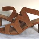 Dress Barn Tiffany Tan Gladiator Sandals Photo 3