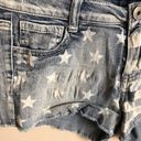 Joe Boxer  Patriotic Flag Shorts Photo 2