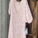 Kensie  Blush Pink Lace Puff-Sleeve Flutter-Hem Shift Mini Dress Photo 0