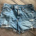 American Eagle Outfitters Shorts Photo 0