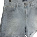 Calvin Klein  Jeans Women’s Plus Size Pin Stripe Jean Shorts Size 14 Photo 1