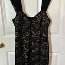 Torrid Black Lace Dress Photo 0