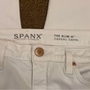 Spanx  Photo 8