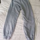 Brandy Melville John Galt Sweatpants Photo 0