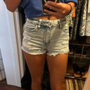 American Eagle Outfitters Shorts Photo 0