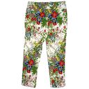 Soft Surroundings  Size PM In Bloom Ankle Crop Pants Floral Fern Tummy Control Photo 3