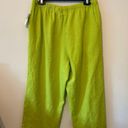 kim rogers  Linen Blend Pull On Crop Pants Size Large Green Embroidered Pineapple Photo 2