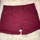 Calvin Klein NWOT  plum / maroon jean shorts Photo 2