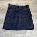 Victoria Beckham  denim skirt Photo 0