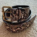 Brandy Melville Brown Snakeskin Belt Photo 0