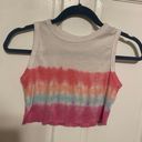 Lizard Thicket Tye-Dye Crop Top Photo 0