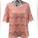 Absolutely Famous  💓LADIES XL💓PINK LACE TOP TUNIC SHORT SLEEVED SEMI SHEER Photo 10