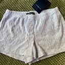 Brandy Melville Grey Shorts Photo 0