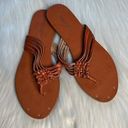 American Eagle  Brown Woven Thong Sandals Photo 0