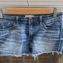 BKE  Otella Mid Rose Shortie Denim Shorts size 26 Photo 1