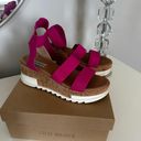 Steve Madden Bandi Platform Wedge Sandals Photo 0