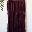 Madewell NWT  Velvet Huston Pull-On Wide Leg Crop Pants Sz L Photo 7