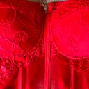 Discovery Say What? Red Mesh Corset Top Photo 1