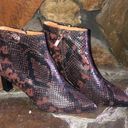 Joie  Rawly Snakeskin-Embossed Leather Ankle Boots Size 36.5 (6) Photo 1