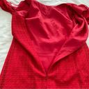 Trina Turk  Red Eyelet Dress Size 6 Peekaboo Back Cut Out Photo 5