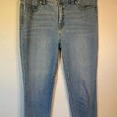 Talbots  | Flawless Light Wash Slim Ankle Denim Jean Size 8 Photo 0