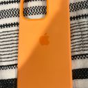 Apple Case Photo 0