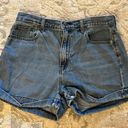 American Eagle Outfitters Mom Shorts Photo 0