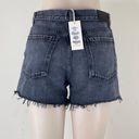 Citizens of Humanity High Waisted Shorts Photo 5