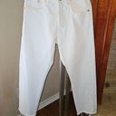 Mango  Havana ankle cropped jeans size 4 Photo 4