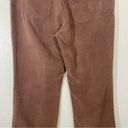 Patagonia  Women's Hemp Passage Hiking Pants Sable Brown Photo 7