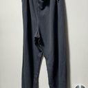 American Eagle NWT  Boyfriend Jogger Size XL Photo 0