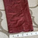 Lou & grey  for Loft Rose khaki chino  elastic waistband ankle pants Photo 6