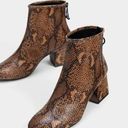 Bershka NEW  Snakeskin print mid-heel ankle boots SZ-6.5 Photo 0