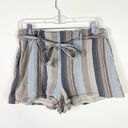 Purple Snow  Tan & Blue Striped Paperbag Belted Tie Waist Shorts Size L Photo 0