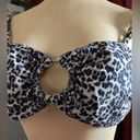 Sommer Ray  Leopard Bikini Set Ring Linked Cami Top & High Waisted SZ medium NWOT Photo 1