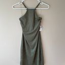 Windsor NWT  dress Photo 1