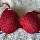 Tommy Hilfiger Bra Photo 0