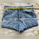 PacSun Playboy By  Raining Bunnies Denim Mom Shorts Photo 8