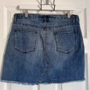 Chelsea and Violet  NWT Embroidered Denim Mini Skirt Large Photo 3